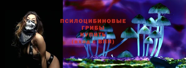 ECSTASY Алзамай