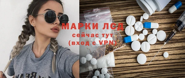 ECSTASY Алзамай
