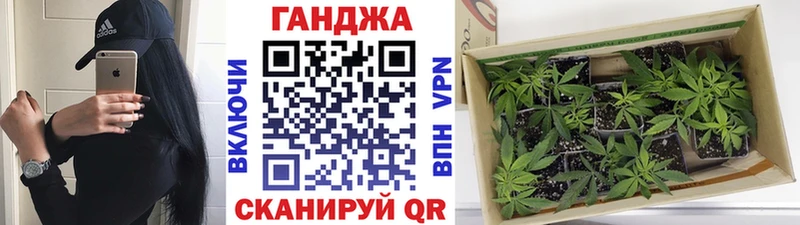 Бошки марихуана MAZAR где найти наркотики Волгодонск